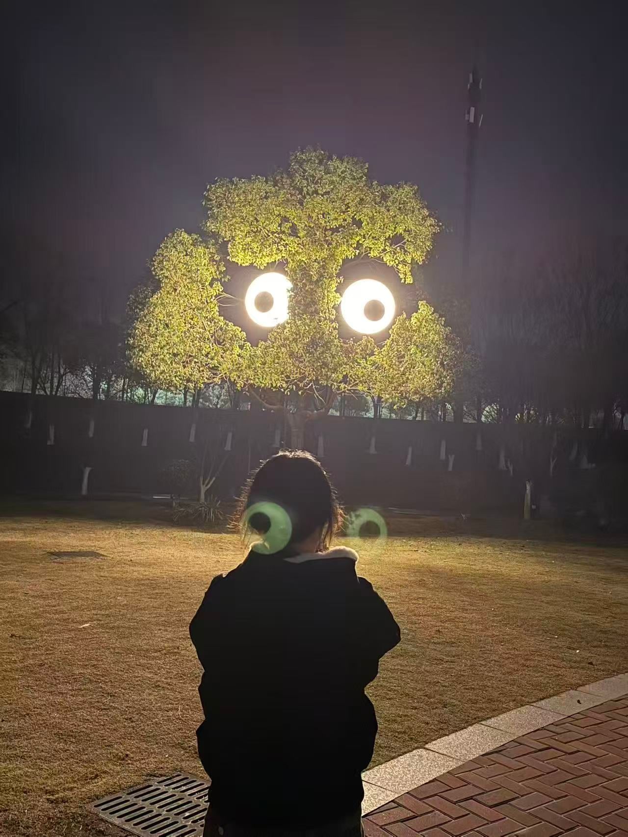 照片 01